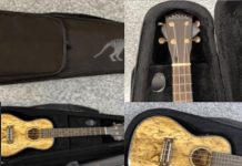 Weapon of mass disruption