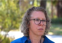 Wild dogs at Tin Can Bay