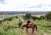 Tourism operators urged to apply for disaster funding