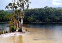 Cooloola cabins rethink