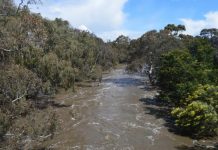 River heights holding steady