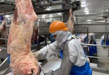 Nolan open day to address concern