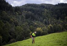 10M trees for Nestle over next three years