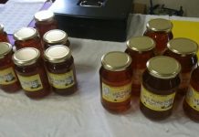 Last koala market for year