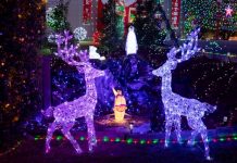 Voting closes soon for Christmas comp!