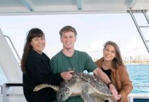 A VIP turtle tale