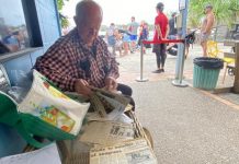 Sandy Straits turtle rescue program