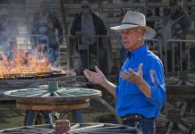 Shining a cultural spotlight on Gympie
