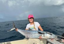 New Rules to Protect Mackerel