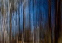 Different point of view