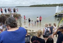 Gympie region scores high in land rush