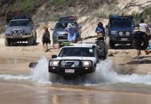 Rangers probe new dingo incident