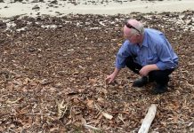 Fishing boss named – ‘saviour or executioner?’