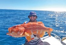 Top times in Tin Can Bay