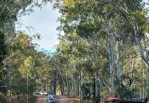 Country music disciples descend on Amamoor