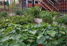 Fiery debate on biosecurity