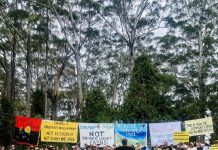 Locals determined to protect the Cooloola National Park