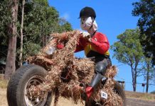 Saddle up for the scarecrow festival in the Mary Valley!