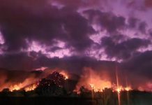 The wildfire heat is on