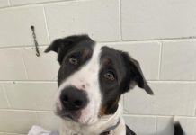 Alf and Cara are beautiful souls