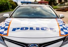 14 charges for drug, traffic, DV