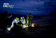 Paraglider pilot airlifted after beach crash