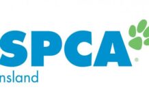 Dobby weaves a spell and Tiggy delights