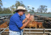 Changing like the weather