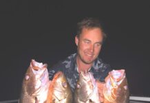 Fish continuing to bite