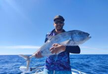 Try your luck with crabs