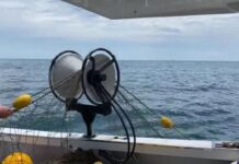 Shark nets ripped out