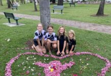 Impromptu artwork delights