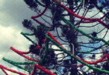 A lot like Christmas