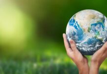 Big money to save species