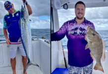 Mackerel science ‘fishy’