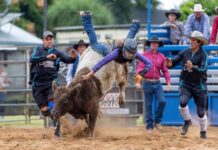 Shane’s favourite pictures from 2023