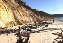 Cooloola one of the best, but…