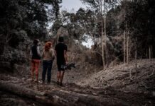 Recovery to get creative in Gympie