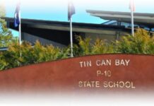 Feral pigs seen at School