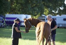 Vet shortage ‘biosecurity threat’