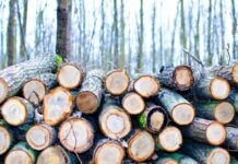 Traffic, crowds and recycled water