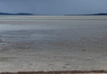 Fickle funds for fishermen