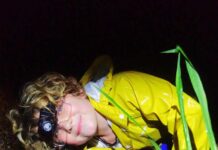 Leap in to find a frog