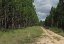 Wind farm controversy