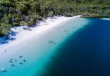 End of freedom and independence