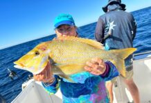 Fantastic week of weather