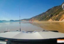 School holiday’s crackdown