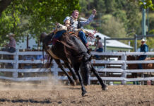 Rodeo goes buck wild