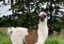 Building art workshop