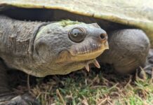 Big team in vital Mary River eco-project